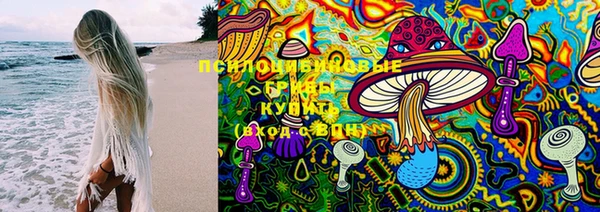 бошки Ступино